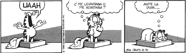 20060519172648-garfield4.gif